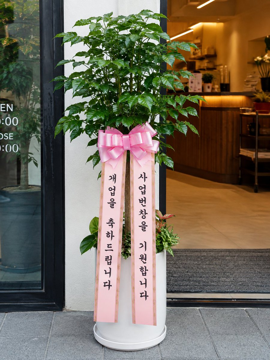 05anwlro's tweet photo. 결혼식 축하화환 주문방법부터 가격·문구·3단화환 선택법까지 총정리
https://t.co/5HK30cYDaT

장례식장 근조화환 주문방법부터 오브제·3단화환 반입 주의사항까지 총정리
https://t.co/4wHZ4DPrF9 https://t.co/Ge7040xgHH