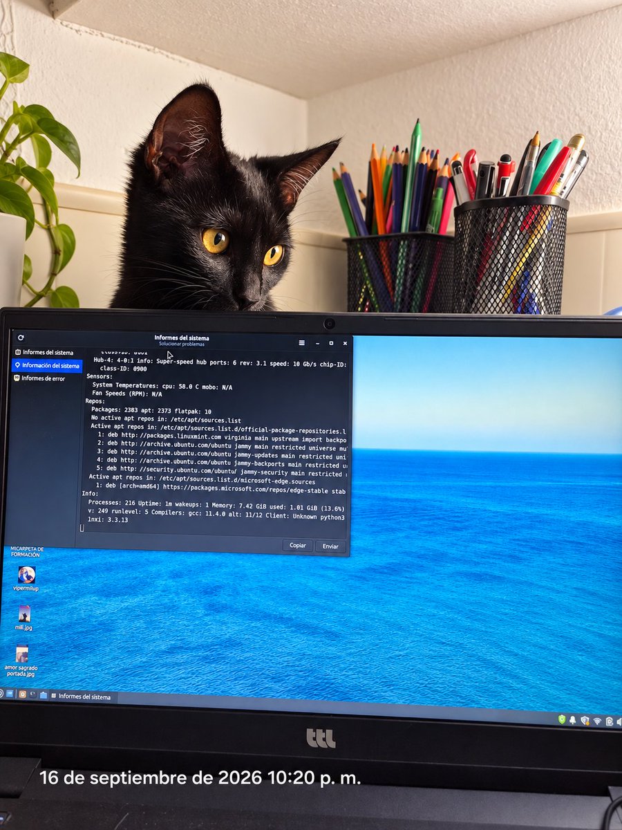 Tuferiadellibro's tweet photo. Me vigilan cuando escribo ๐ซช #BizquitayNegrita #gatos #gatas #cats https://t.co/RGWM8poDOx