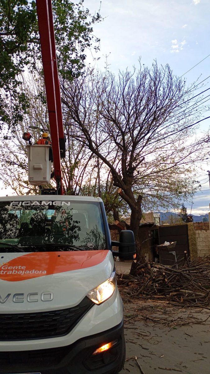 lopresti_lh's tweet photo. Ante las fuertes ráfagas de viento Zonda, nuestras cuadrillas y el GUM están trabajando desde las 4am para asistir a los vecinos, despejar la vía pública y prevenir accidentes.
Les pido especialmente que permanezcan en sus viviendas y eviten circular. Si es imprescindible salir, háganlo con máxima precaución.
Gracias a cada trabajador que está en la calle cuidando a nuestra comunidad.
📞 Ante cualquier reclamo, comunicarse al 0800 222 0857.