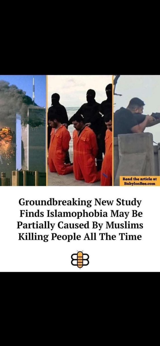 JCCapybara's tweet photo. @TRobinsonNewEra https://t.co/ke5TSDVX8J