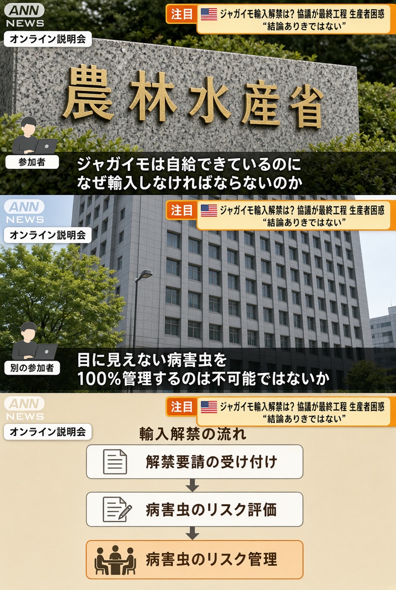 PoppinCoco3's tweet photo. 輸入ジャガイモの件が昨日のニュースでも紹介。

ジャガイモは自給できてるのに米国産の生イモを入れる理由がわからない。

病害虫は一度入ったら取り返しがつかないのにアメリカとの協議は最終工程に入ったってふざけてるよな。
「100%管理できる」は嘘だし不可能に決まってるだろう。

結論ありきの解禁は絶対に許すな。

農家を、日本を守ろう。