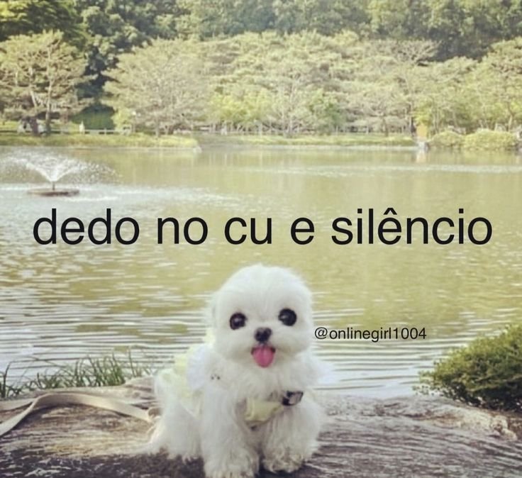 Gorgolab221's tweet photo. @viniragazzi aí ele mata o homem e a mulher https://t.co/Zim7MeuQow
