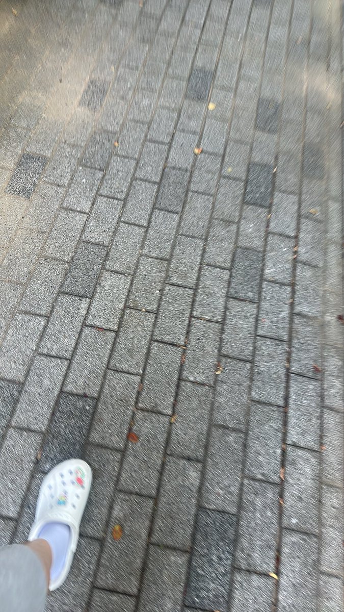 ssunbby2's tweet photo. 개썅 내발로좆교를가고있다니 https://t.co/RZQddpnk7y