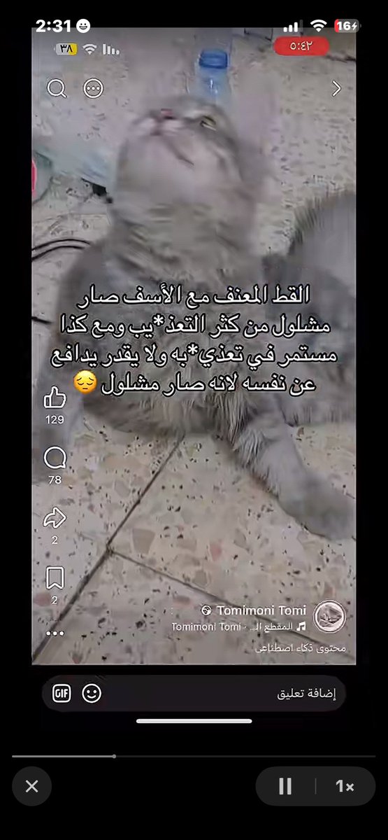 Huff78302980's tweet photo. مقيم بنقالي في مكة يعذب قطه أرجو منكم تبليغ والقبض عليه عاجل @makkahregion @MOISaudiArabia @Rahmah_ksa https://t.co/v7Ma1K8rQU