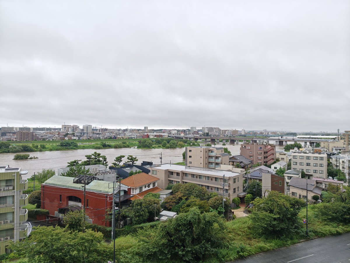 2544mk's tweet photo. 二子玉川　多摩川　台風情報
23日（月）AM8:30
雨はやんでますが、これからまた降るらしいです😰川崎側のグランドの高さギリかなぁ#二子鮨　#二子玉川　#すし　#二子玉川ライズ　#台風情報 https://t.co/aFUAlqXwkG
