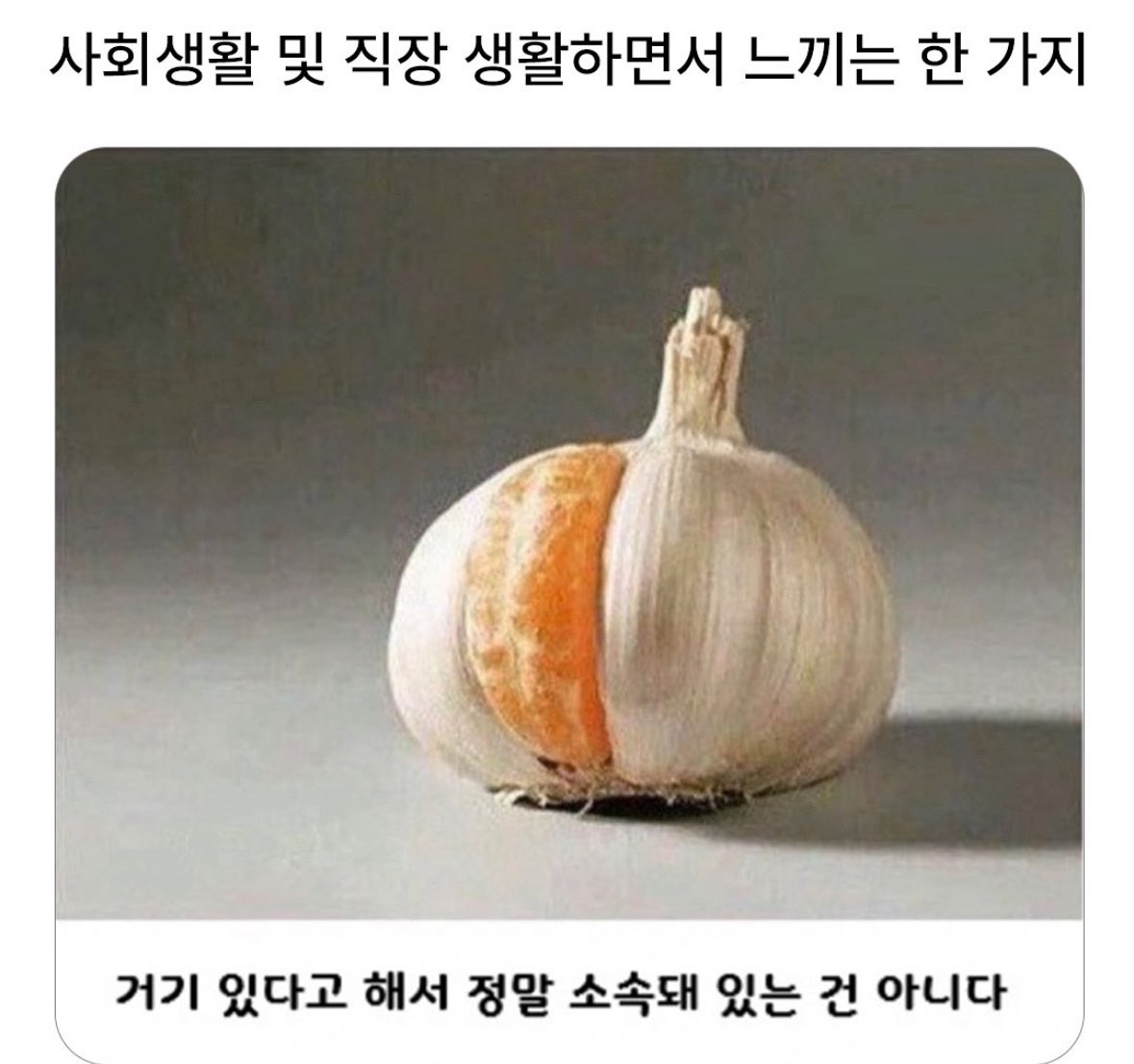 akzkfltm2's tweet photo. https://t.co/ed40HX1Zeh