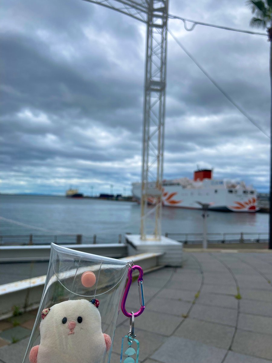 mocomocooon's tweet photo. はむちゃん、南港の海だよ🌊 https://t.co/7k1EQW8kaa