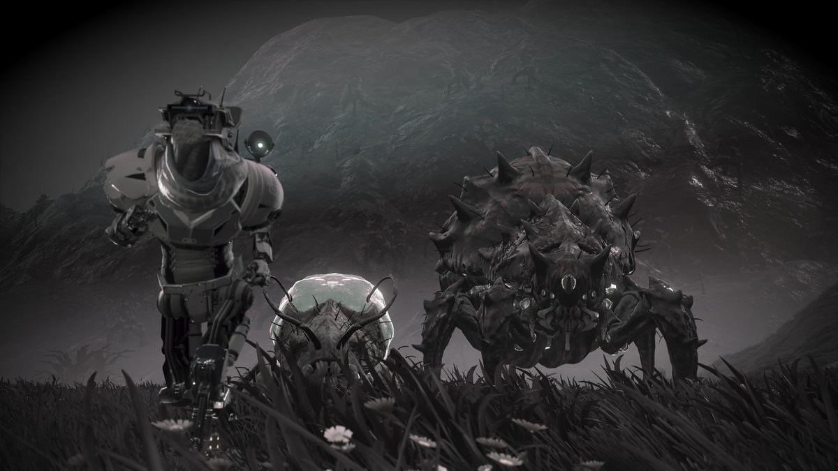 RoboRobby_'s tweet photo. #OurNMSuniverse #NoMansSky @NoMansSky

R U N https://t.co/a6Q4Lfyxgw