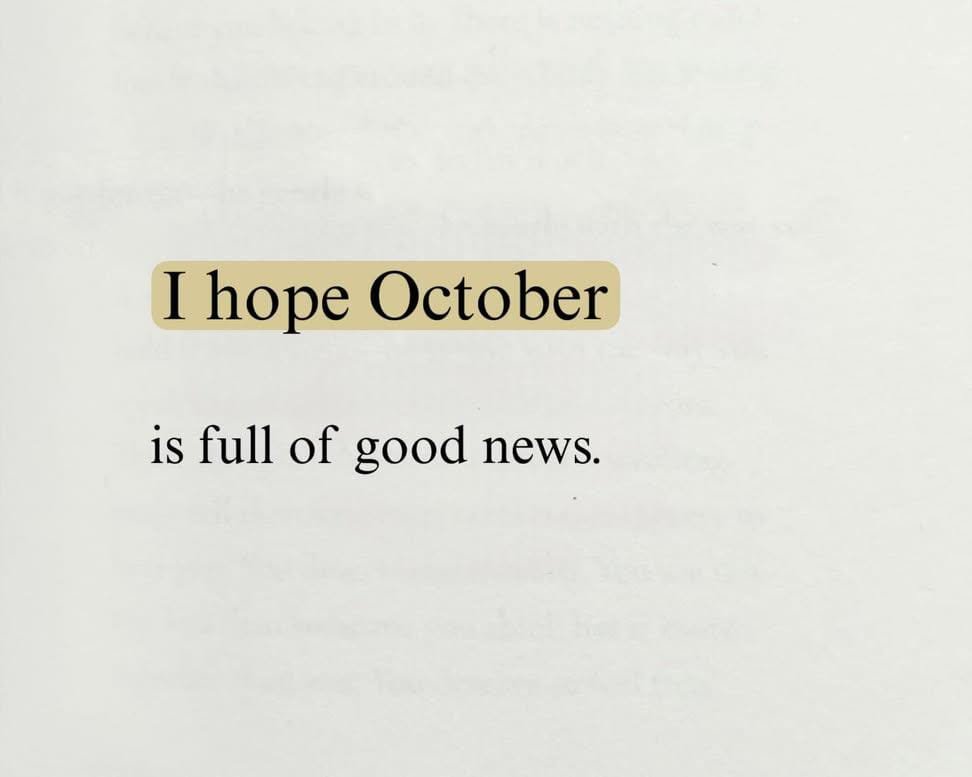 MarcusdeleTHB's tweet photo. We must never stop believing that beautiful things can happen
Even in times of chaos. https://t.co/oFO2Tt2PqS