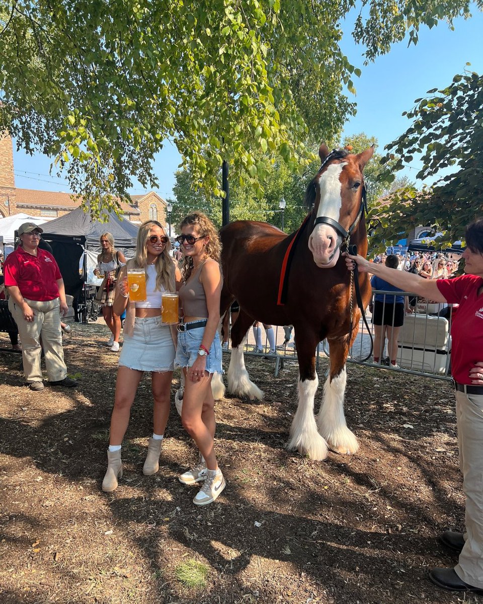 VisitMO's tweet photo. The steins are officially in season. 🍺 

Oktoberfest kicks off today in Munich, and St. Louis is joining the celebration with plenty of beer, music and Bavarian flair.

Find more Oktoberfest in Missouri: https://t.co/qf99CdYTfF

— Mo 

📸 @STLOktoberfest
🏷️ @ExploreStLouis https://t.co/vONYYu9P8B
