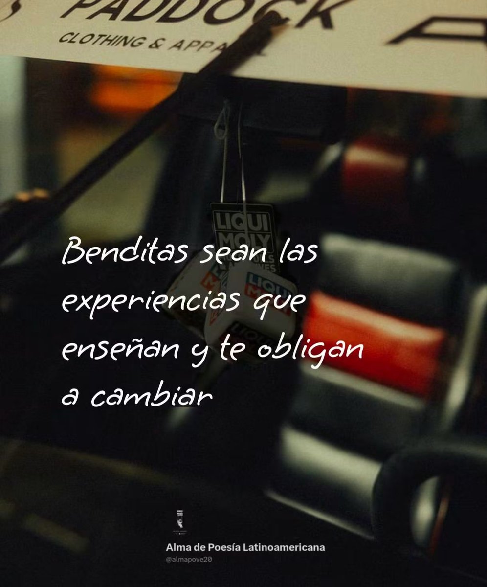 El_abuacatit0's tweet photo. 🍂 https://t.co/1PgY5fkjS4