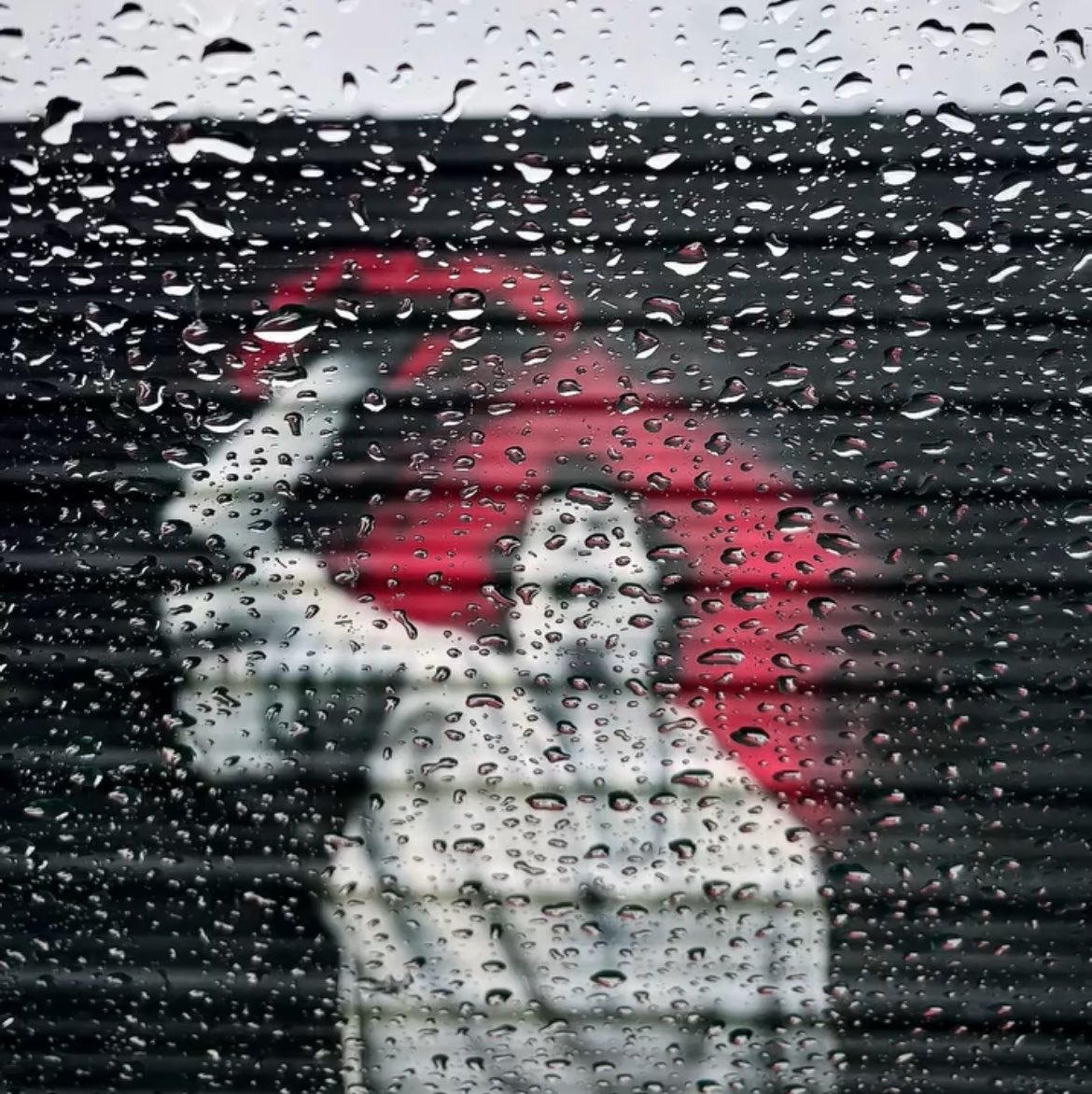 enemigodelsilen's tweet photo. Yo sé que vendrán 
buenos tiempos

y si ahora llueve
mejor. https://t.co/yKPQG8TPiD