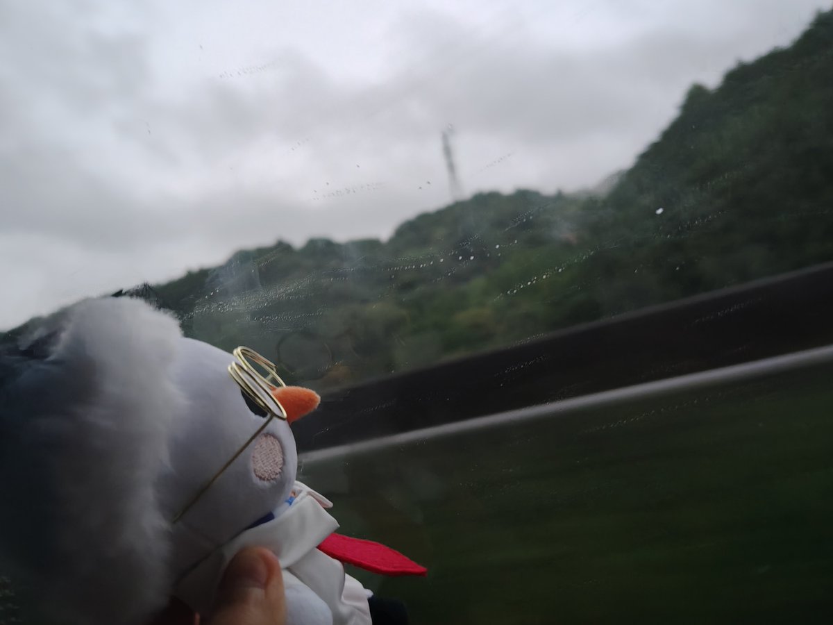 nellnea79's tweet photo. 旅行疲れで寝てしまったw
今思うと、東京と静岡楽しかった…！！！😭😭 https://t.co/Mu8LPsCkBa