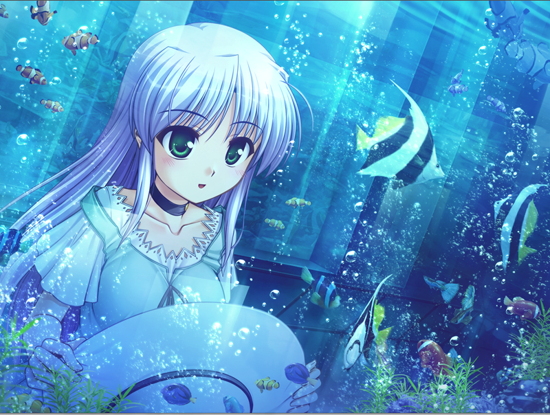 0J8oZwC6lfSuK4P's tweet photo. #フィーナさんのイメージカラーの青色は水と相性がいいので水に縁がある画像を上げる https://t.co/My5UPjyIiG
