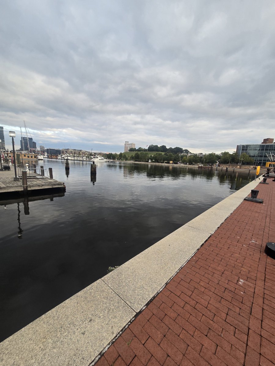 ArieliteStar's tweet photo. Because I didnt get to go to the VGC regionals cuz im a moron, I decided to take the scenic route back to my car. Inner harbor does look pretty nice~ https://t.co/fKETgD1xz1
