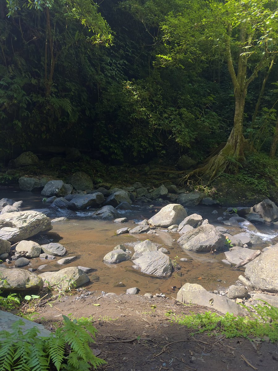 havingfunonIine's tweet photo. A hike through the forest and a waterfall swim will save you https://t.co/4FUbjAvNOA