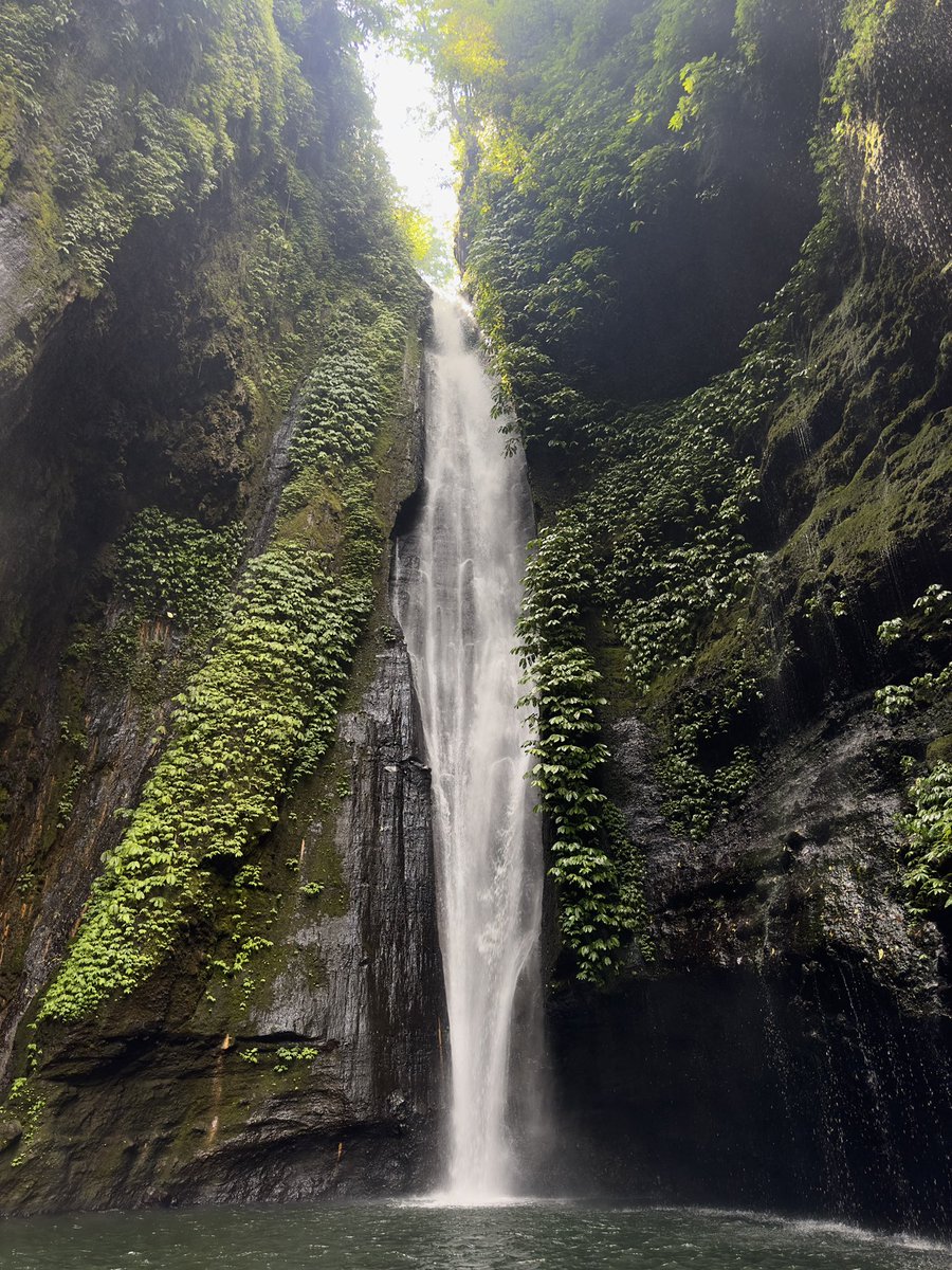 havingfunonIine's tweet photo. A hike through the forest and a waterfall swim will save you https://t.co/4FUbjAvNOA