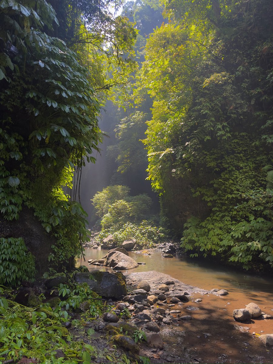 havingfunonIine's tweet photo. A hike through the forest and a waterfall swim will save you https://t.co/4FUbjAvNOA