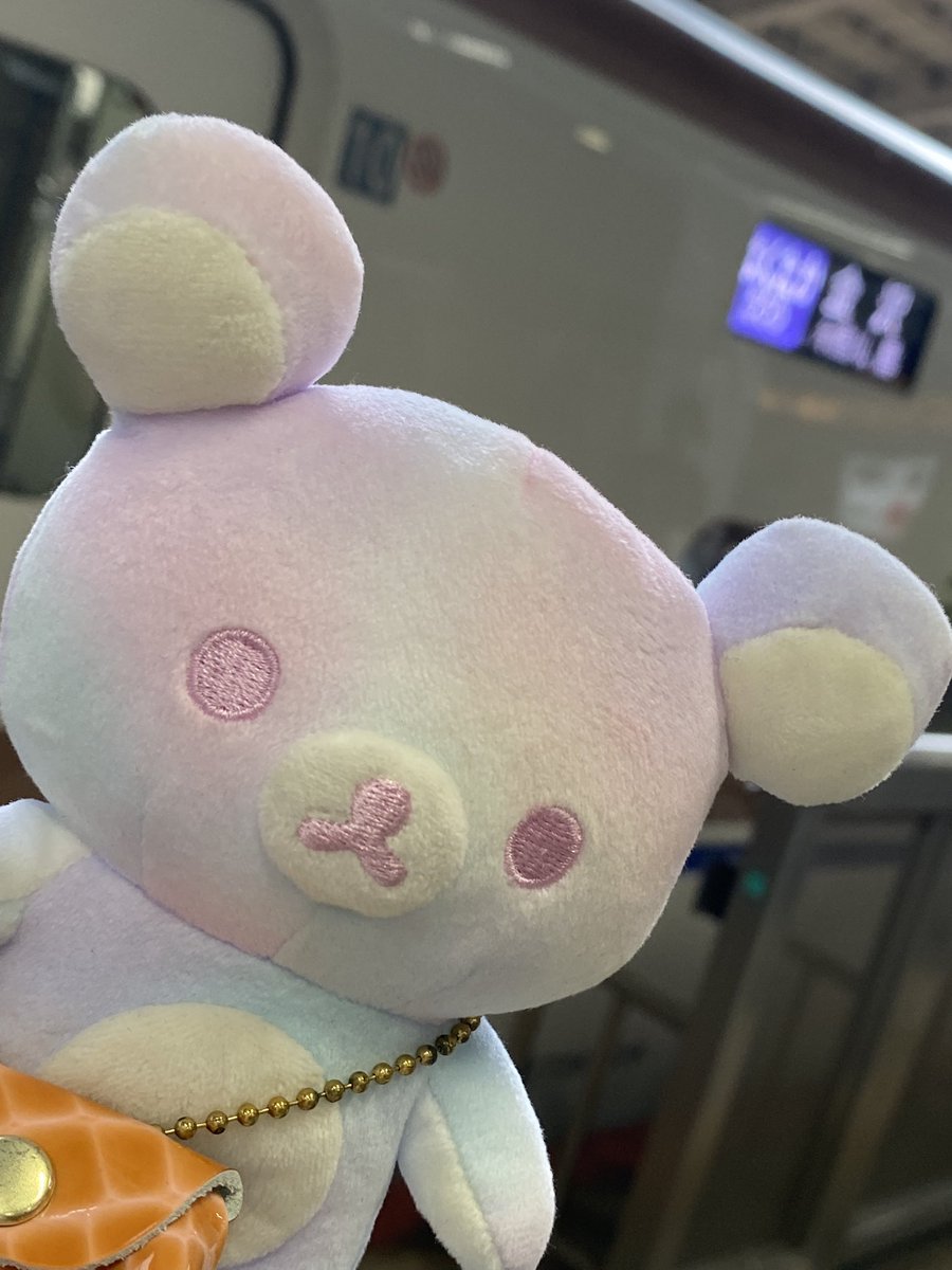 yuuki69's tweet photo. いつもお庭に行くとき台風くるけど今回は旅行だよー🚅🤣
連れてくお供めちゃくちゃ悩んで厳選したメンバー✨
なんとか天気回復しますよーに⛈️ https://t.co/x4VVuUB6W5