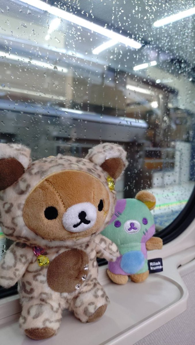 yuuki69's tweet photo. いつもお庭に行くとき台風くるけど今回は旅行だよー🚅🤣
連れてくお供めちゃくちゃ悩んで厳選したメンバー✨
なんとか天気回復しますよーに⛈️ https://t.co/x4VVuUB6W5