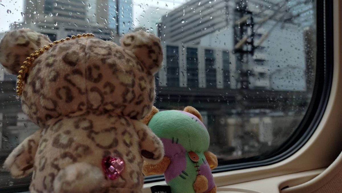 yuuki69's tweet photo. いつもお庭に行くとき台風くるけど今回は旅行だよー🚅🤣
連れてくお供めちゃくちゃ悩んで厳選したメンバー✨
なんとか天気回復しますよーに⛈️ https://t.co/x4VVuUB6W5