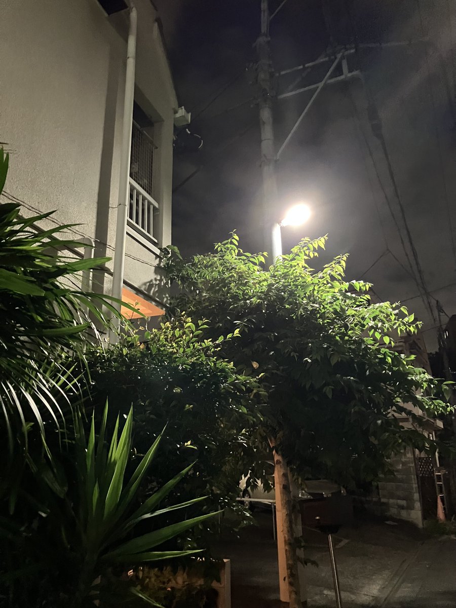 toughmama's tweet photo. 月明かりで読む赤い文字のリクエスト。ひとつ捨ててふたつ拾う。では、滑り摩擦でよく切れるようになった彼女たち。北ではどんな名前の横で休み、南ではどんな男たちを林に誘いだして脅したのか。小屋の裏で陽気に語り、交差点への恨みは忘れましたとさ。
福間健二twitter詩【風やナイフのように】６ https://t.co/8VzG4V3TBN