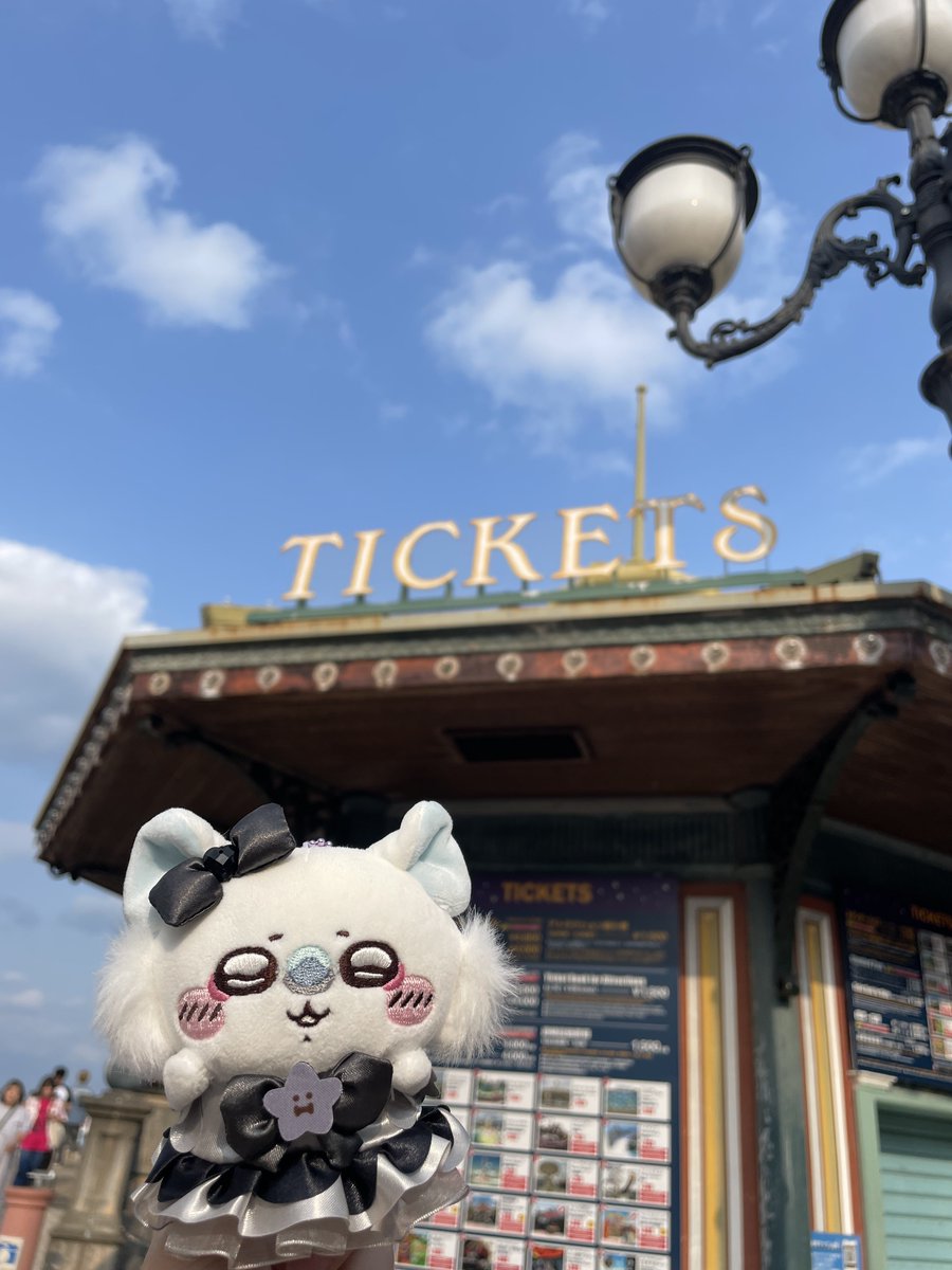 sumanbow_'s tweet photo. 初めてお迎えした子はこのモモンガちゃんでした🖤ྀི🫧ྀི https://t.co/ZAibOuj0aw