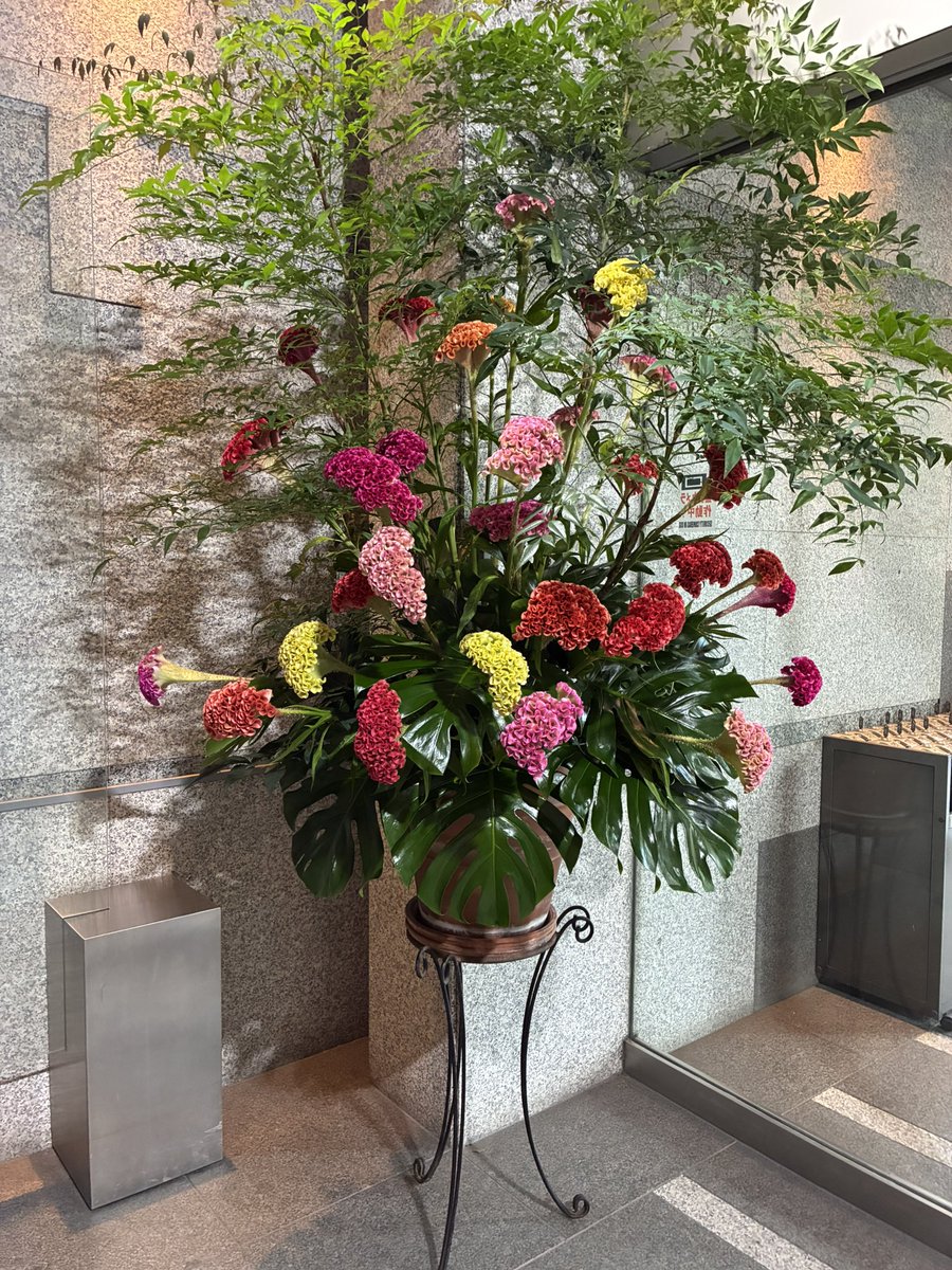 dsquare_laundry's tweet photo. おはランドリー♪
東京の天気は雨🌧️
本日は敬老の日
社会に尽くしてきた老人を敬愛し��長寿を祝う日。
おじいさん、おばあさんに感謝の気持ちを伝え、お祝いをする日として定着したそうです😚

本日もよろしくお願いします！

#コインランドリー
#富ヶ谷
#Dstylegroup 
#Dsquarelaundry
#敬老の日 https://t.co/fF86NYSvXI