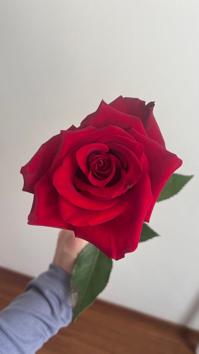 natennha's tweet photo. Perfeita 🩷 https://t.co/7vaTxipnDp