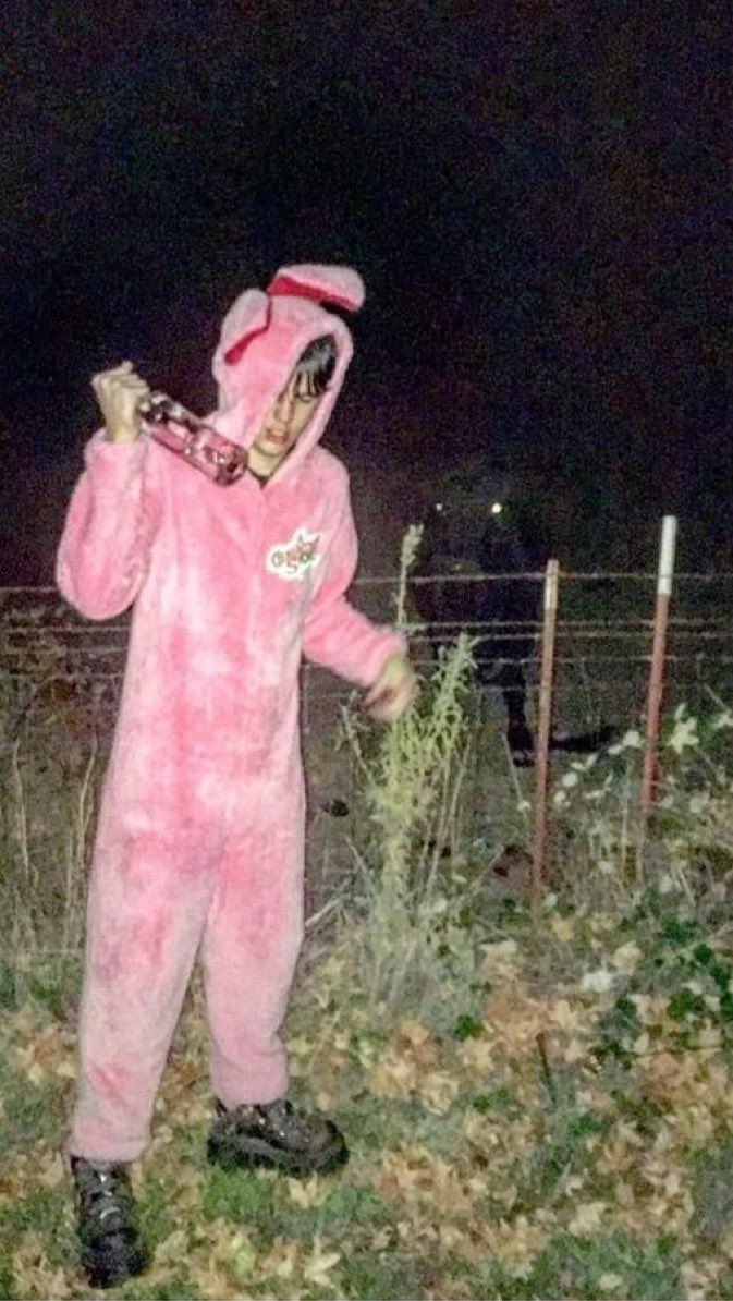 ghostehill's tweet photo. Bunny suit Sematary https://t.co/pnRaPSXnIn