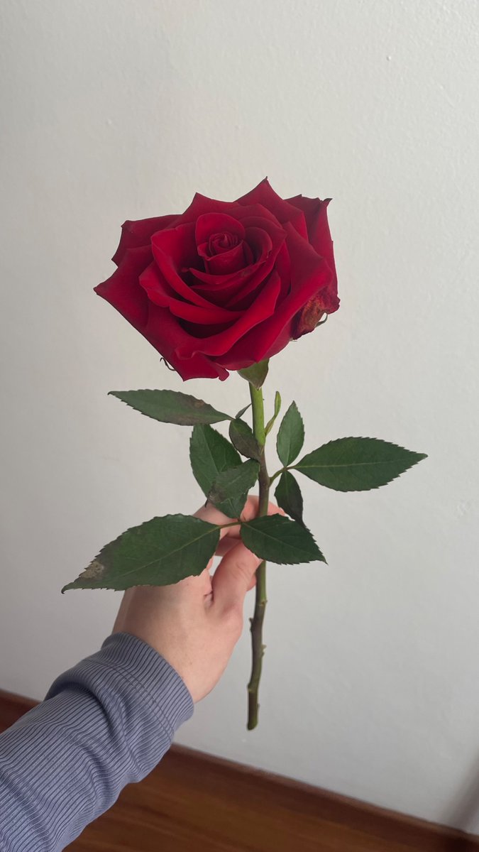 natennha's tweet photo. Perfeita 🩷 https://t.co/7vaTxipnDp