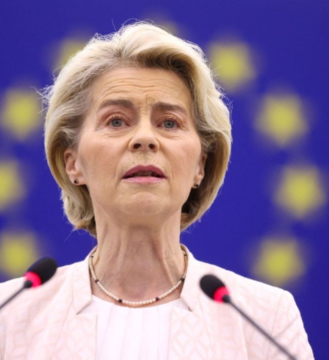 DaniWolv's tweet photo. Úrsula, a la guerra que te quieres inventar contra Rusia para tapar el fracaso económico y social de las políticas de la UE va a ir tú puta madre. https://t.co/MhKocEoPWc