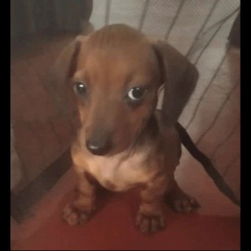marsinpiscess's tweet photo. jogo isso no status do zap mesmo sabendo que um total de zero pessoas vão acompanhar minha linha de raciocínio ou compreender do que se trata https://t.co/gyOaUEjebm