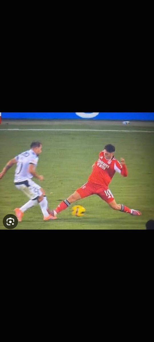 RuiCast03276603's tweet photo. A malta do SLB tem de se decidir, é vermelho ou não? https://t.co/LgusiqKAUg