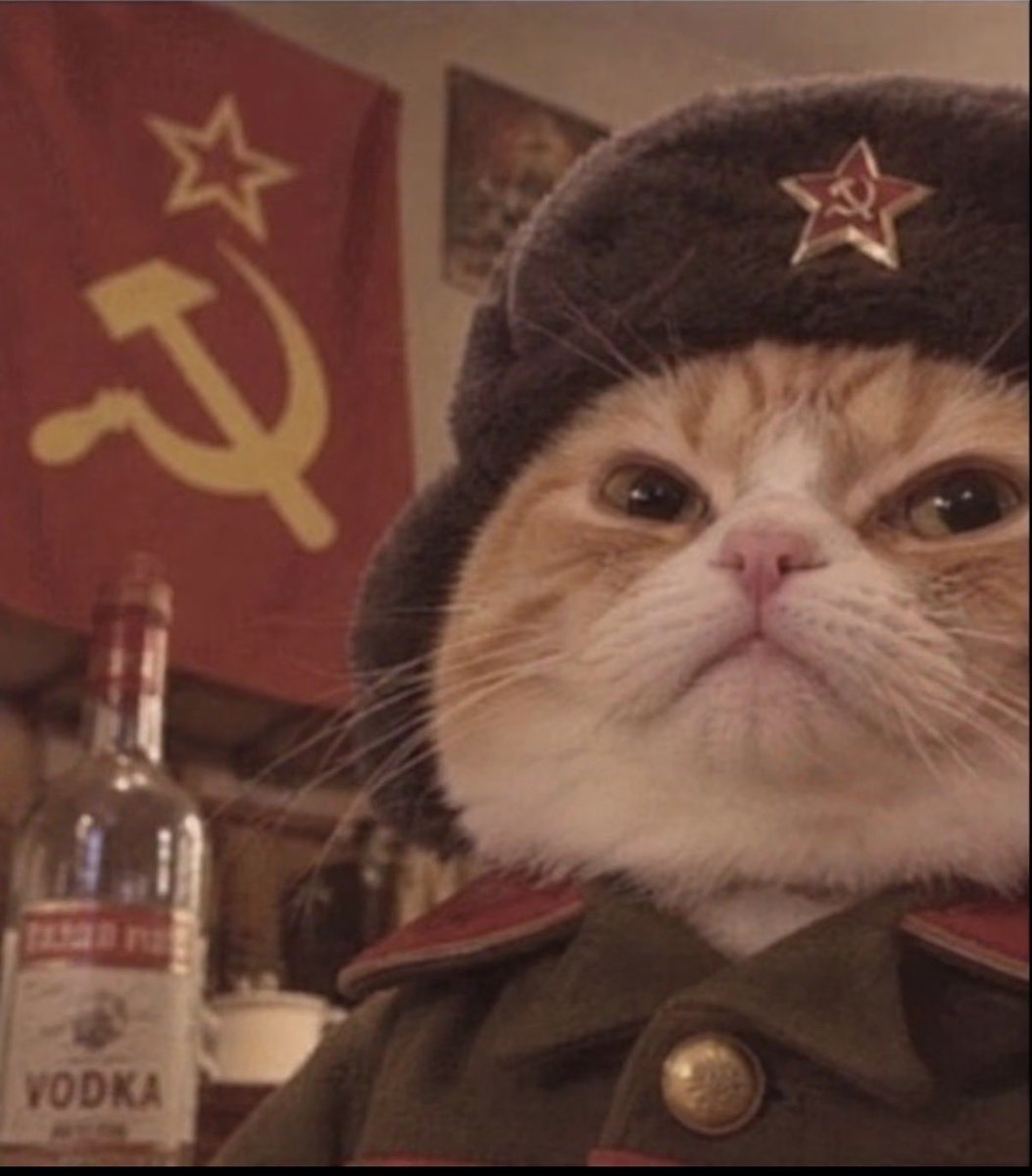 ArtecPlus's tweet photo. @ratterytech We Cats are in union with all kinds of $RATTERY https://t.co/hsDHMnL3Lz