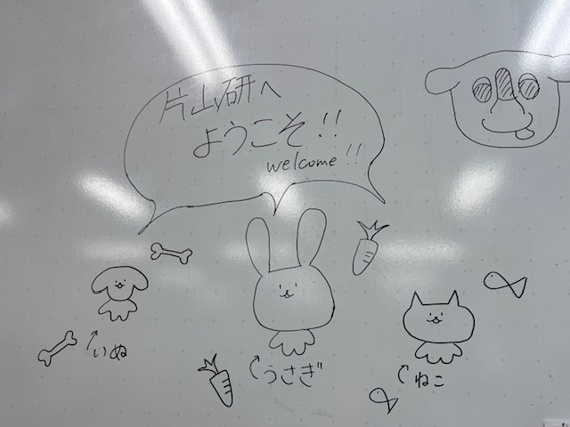 energylab_tus's tweet photo. 夏休みにオープンキャンパスのお手伝いをしました！中学生や高校生、同行された保護者の方達とたくさんお話できて楽しかったです。受験についても話をしたのですが、少し懐かしい気持ちになりました☺️

#東京理科大学 #電気電子情報工学科 #大学生活 #研究室生活  #理科大 #片山研 #オープンキャンパス https://t.co/nkjYsXFvGL