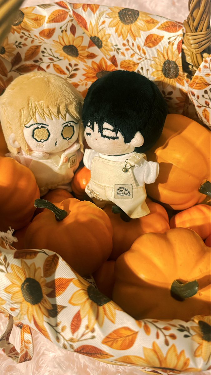 Yeon_Cherri's tweet photo. #결혼하는��자 #missinglove 

My little pumpkins 🧡 https://t.co/X0GWKPg6NI