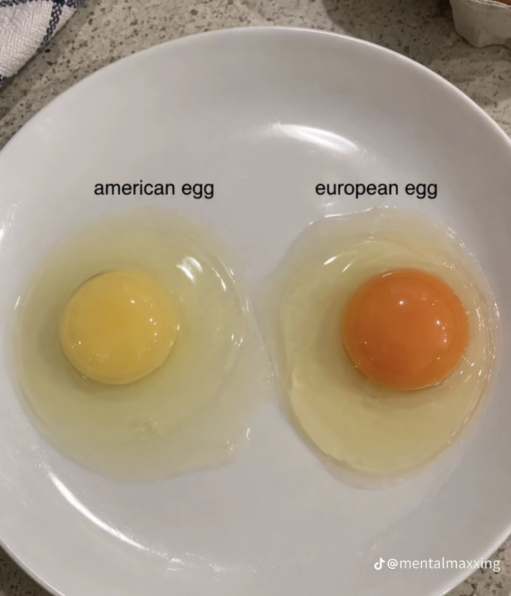 AlpacaAurelius's tweet photo. it's insane how much higher quality food is in europe https://t.co/oCLwMxWMc3