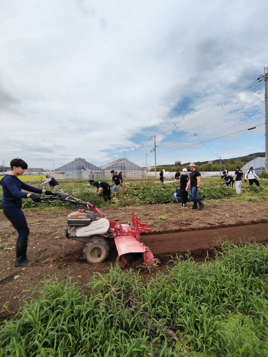 ikawa_offsalon's tweet photo. 先週末は、マリストの皆さんと農業活動！
サツマイモ畑の除草🍠や、秋冬作に向けた畑の準備をみんなで進めました💪
#伊川谷オフラインサロン #農業体験 https://t.co/BcAiES9BCv