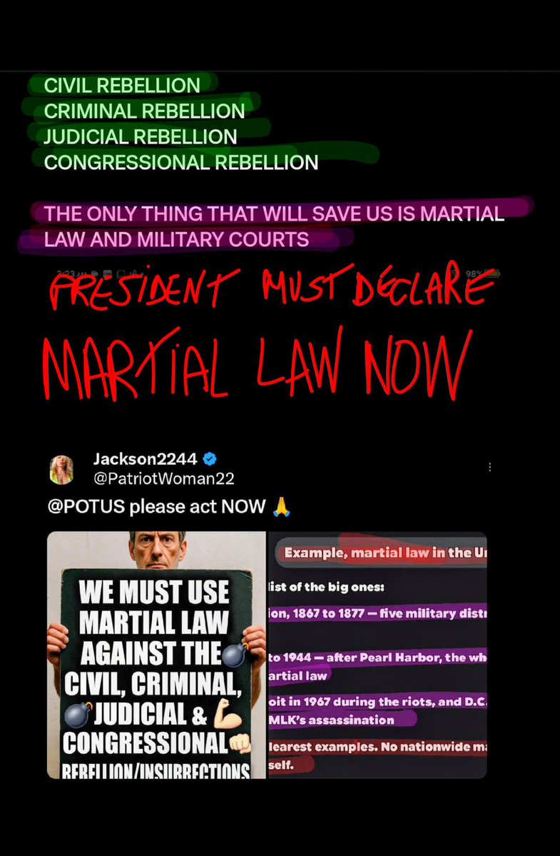 PatriotWoman22's tweet photo. @Blue_Eyes Four types of rebellion and president Trump is going to have to declare martial law and bring in military courts to save America https://t.co/S5b0UeEO6d