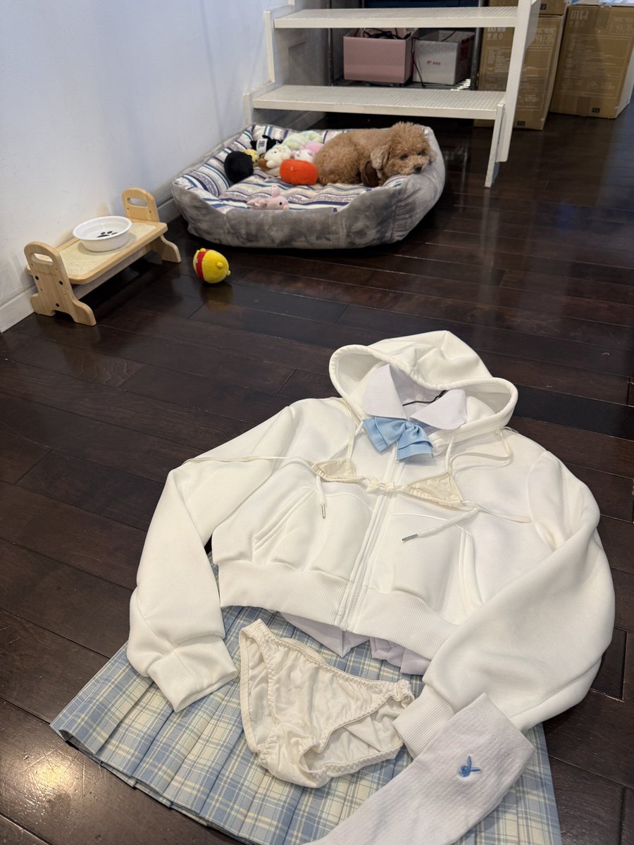gravure_staffA's tweet photo. キミドルのコロンとした
この冬用のパーカー好き🩵ྀི🤍ྀི https://t.co/WniRNRoyKt