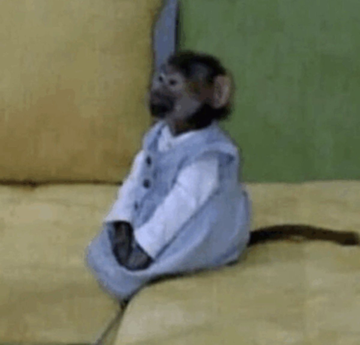 clemensalada's tweet photo. Yo esperando a encontrar algún conocido en el gran hermano Uruguay https://t.co/5EWM9pc8zu
