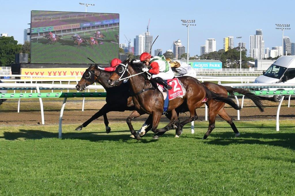 tonygollan's tweet photo. 💥TRACKSIDE WINNER OF THE WEEK 💥
Our #WinnerOfTheWeek presented by Trackside Photography is Warby.
7yo gelding Warby (Hellbent x Speedboat) won the Open Handicap over 1400m at the Gold Coast metro meeting on Saturday ridden by Daniel Moor & strapped by Mia Wheeler. https://t.co/fhmbsxLZ6O