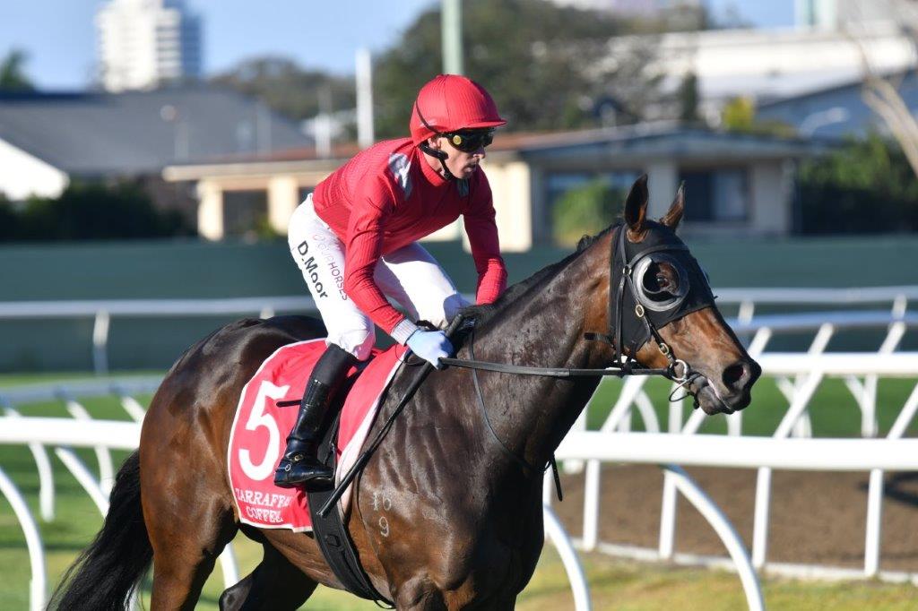 tonygollan's tweet photo. 💥TRACKSIDE WINNER OF THE WEEK 💥
Our #WinnerOfTheWeek presented by Trackside Photography is Warby.
7yo gelding Warby (Hellbent x Speedboat) won the Open Handicap over 1400m at the Gold Coast metro meeting on Saturday ridden by Daniel Moor & strapped by Mia Wheeler. https://t.co/fhmbsxLZ6O