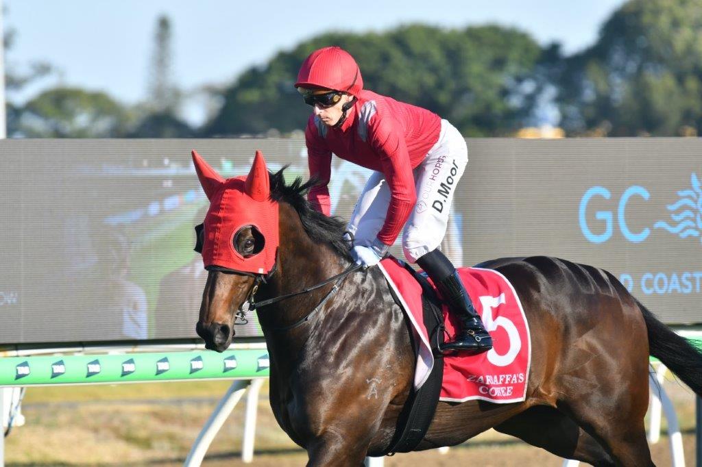 tonygollan's tweet photo. 💥TRACKSIDE WINNER OF THE WEEK 💥
Our #WinnerOfTheWeek presented by Trackside Photography is Warby.
7yo gelding Warby (Hellbent x Speedboat) won the Open Handicap over 1400m at the Gold Coast metro meeting on Saturday ridden by Daniel Moor & strapped by Mia Wheeler. https://t.co/fhmbsxLZ6O