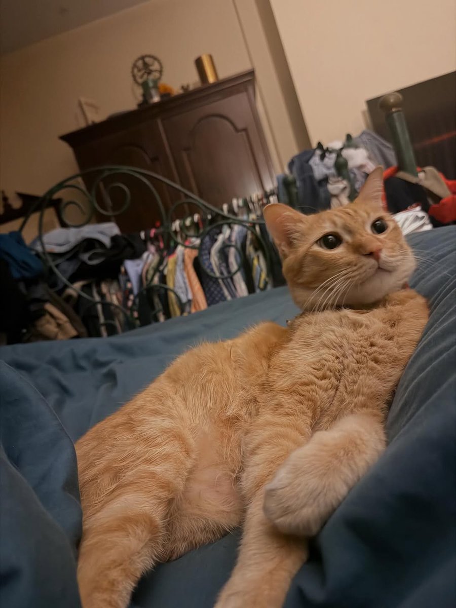 itrwhn9's tweet photo. Woke up like this~ https://t.co/AVSCPkh5kh