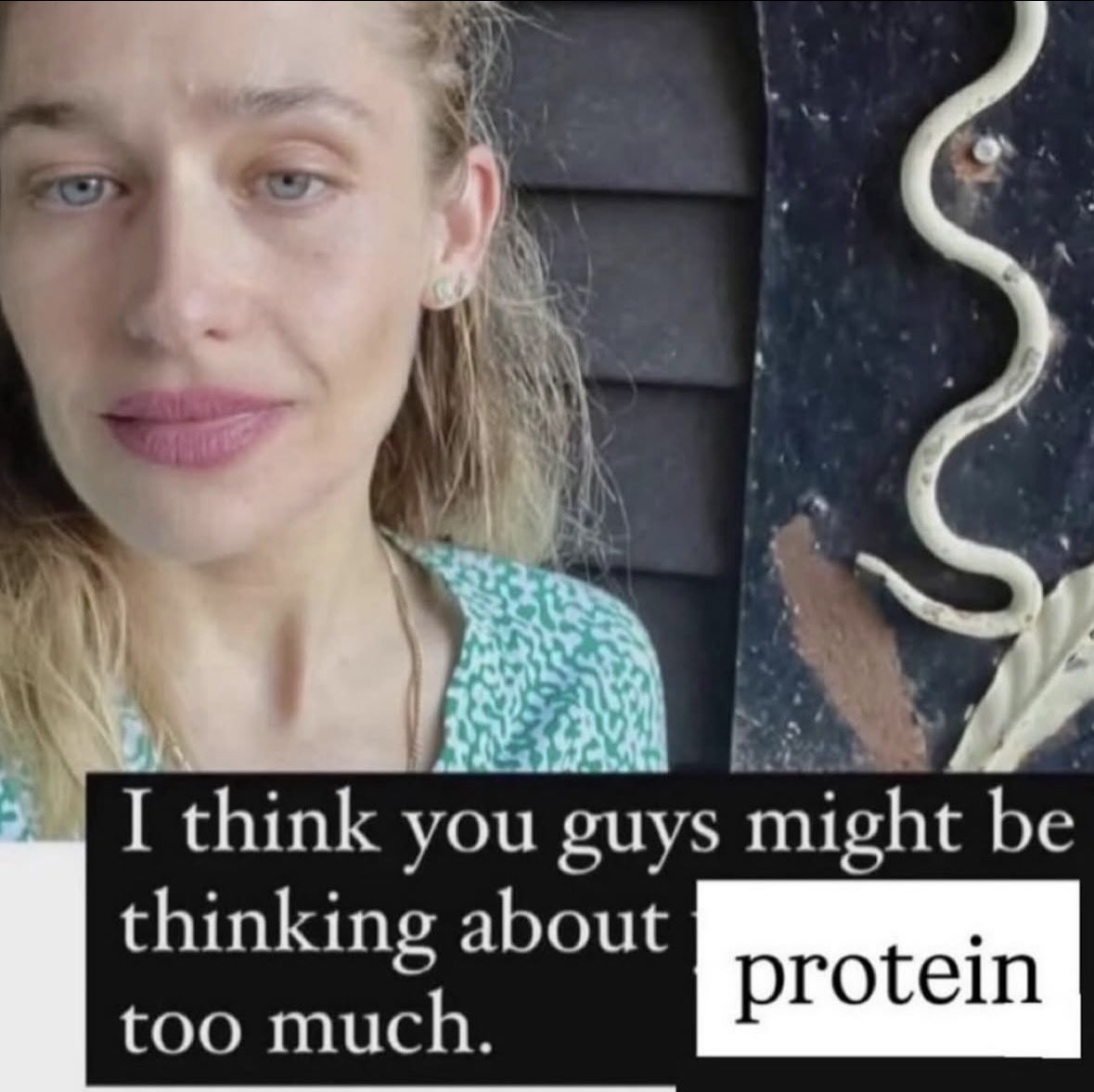 im2sickly's tweet photo. im sick of all the protein can we get some fiber up in here https://t.co/eBnUE1STmE