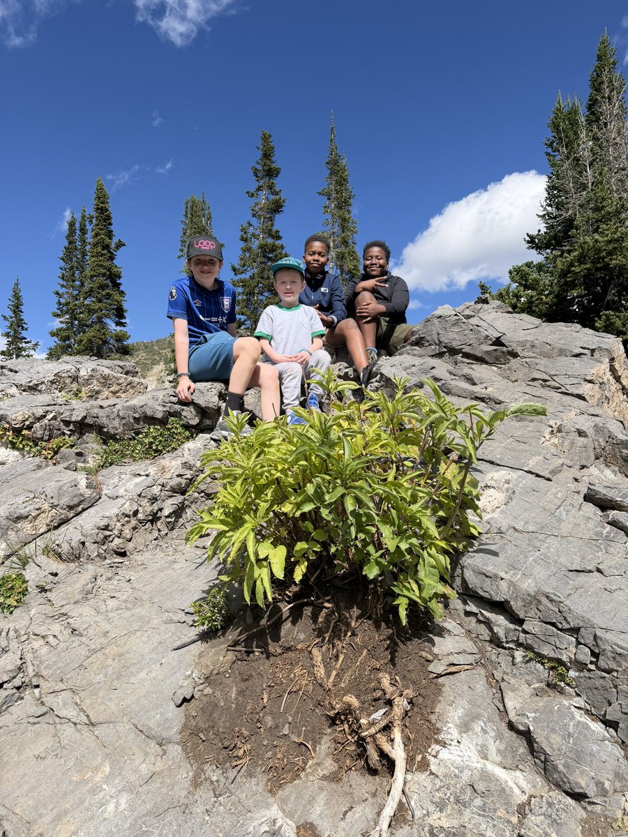 sanmiadebunmi's tweet photo. A mountain hiking weekend with the kiddos…
#Alta #family #WeekendGift https://t.co/KhQZ6Cz4AV