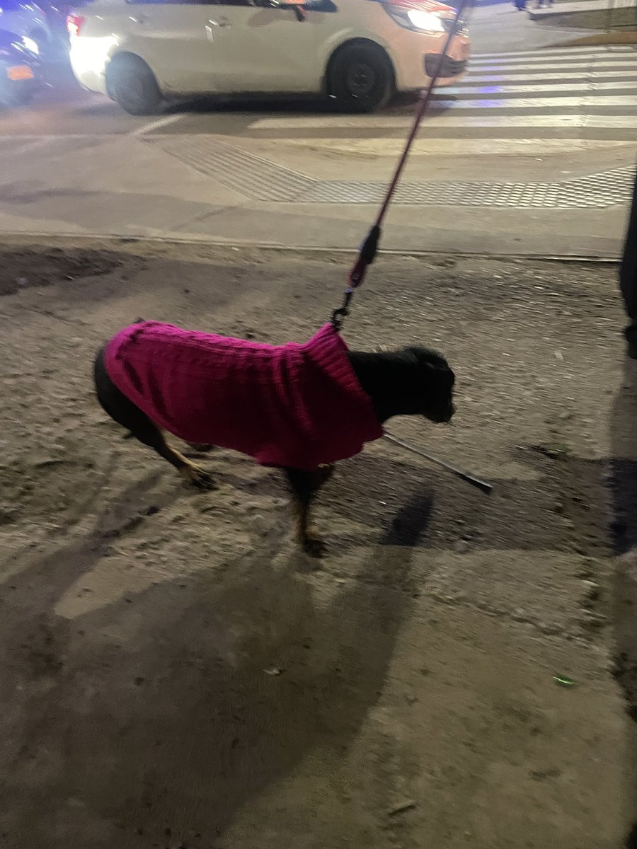 maloyente's tweet photo. mi bebe chiquitito esto es mi chile https://t.co/LQgs1PvCS7