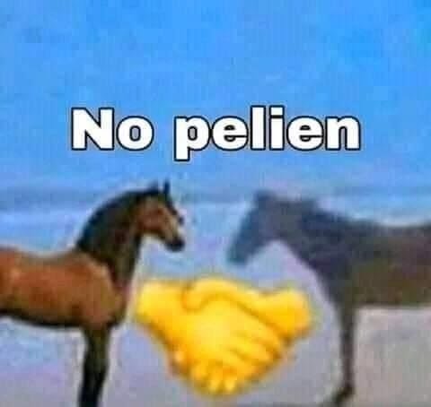 vAlmex_706_1's tweet photo. Si no les gusta un ship solo ignorenlo, no hay necesidad de discutir por qué un ship es menos que otro. Tampoco hay que llegar al límite de repetir todo el tiempo el ship cuando no tiene nada que ver. Ambos extremos son malos. https://t.co/wl7GTvXJOZ